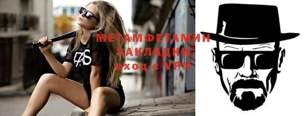 индика Дубна